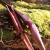 EXHIBITION PIECE | DRAKE ARCHERY ELITE Scarlet - 54 inches - 40 lbs - Hybrid bow | Right hand