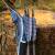 2nd CHANCE | DRAKE ARCHERY ELITE Marlin - 54 inches - 20 lbs - Hybrid bow | Left hand