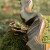 2nd CHANCE | JACKALOPE - Tourmaline - 62 inches - Refined Recurve Bow Take Down - 40 lbs | Right Hand