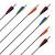 6 x Complete Arrow | BEARPAW Penthalon Slim Line Black - Carbon - Spine: 1600 - vanes - 18.5 in.