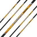 2er Pack Komplettpfeil | BLACK EAGLE Challenger .003 -...