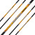 2er Pack Komplettpfeil | BLACK EAGLE Challenger .003 - Carbon | Spine: 350 | Vanes | 32.0 Zoll ab Schaftende