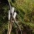 2nd CHANCE | DRAKE ARCHERY ELITE Black Bird - 60 inches - 35 lbs - Hybrid Bow Left hand