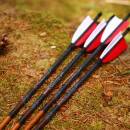 4er Pack Komplettpfeil | MagnetoSPHERE - Carbon - Naturfedern - Spine 600 - 33,0 Zoll
