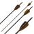 4er Pack Komplettpfeil | MagnetoSPHERE - Carbon - Naturfedern - Spine 600 - 33,0 Zoll