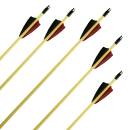 5er Pack Komplettpfeil | BSW Hardwood - Naturfedern -...