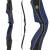 2nd CHANCE | DRAKE ARCHERY ELITE Riva - Farbe: Midnight - 60 Zoll - 50 lbs - Take Down Recurvebogen | Rechtshand