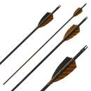 10er Pack Komplettpfeil | MagnetoSPHERE - Carbon -...