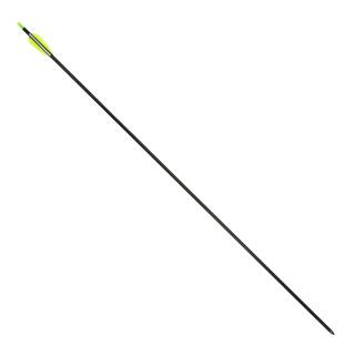 9er Pack Komplettpfeil | EASTON Inspiré - Naturfedern - Carbon - Spine 570 - 30,0 Zoll