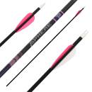9er Pack Komplettpfeil | SPHERE BowJob - 6,20 mm - Carbon...