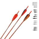 10er Pack Komplettpfeil | ExoSPHERE Traditional .006 -...