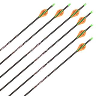 6 x Complete arrow | SKYLON Quantic - 3K Carbon - Feathers - Spine 350 - 31.0 inch