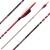 12er Pack Komplettpfeil | SPIDERBOWS Raven.One KevTech - 6,2mm - Carbon | Farbe: Rot | Spine 500 | 30,0 Zoll