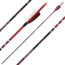 12er Pack Komplettpfeil | SPIDERBOWS Raven.One KevTech -...