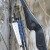 EXHIBITION PIECES | JACKALOPE - Moonstone - 60 inches - Hybrid Bow - 35-50 lbs | right hand