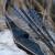EXHIBITION PIECES | JACKALOPE - Moonstone - 60 inches - Hybrid Bow - 35-50 lbs | right hand