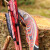 EXHIBITION PIECE | DRAKE ARCHERY ELITE Coral - 54 inches - 40 lbs - Hybrid bow | Right hand