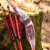 EXHIBITION PIECE | DRAKE ARCHERY ELITE Coral - 54 inches - 40 lbs - Hybrid bow | Right hand