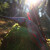 EXHIBITION PIECE | DRAKE ARCHERY ELITE Scarlet - 54 inches - 40 lbs - Hybrid bow | Right hand