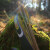 EXHIBITION PIECE | DRAKE ARCHERY ELITE Zorse - 54 inches - 35 lbs - Hybrid bow | Right hand