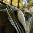 AUSSTELLUNGSST&Uuml;CK | DRAKE ARCHERY ELITE Zorse - 54 Zoll - 40 lbs - Hybridbogen | Rechtshand