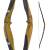 AUSSTELLUNGSSTÜCK | DRAKE ARCHERY ELITE Zorse - 54 Zoll - 40 lbs - Hybridbogen | Rechtshand