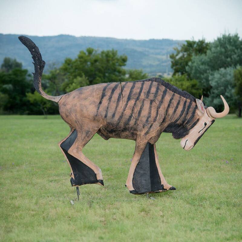 Streifengnu / Antilope