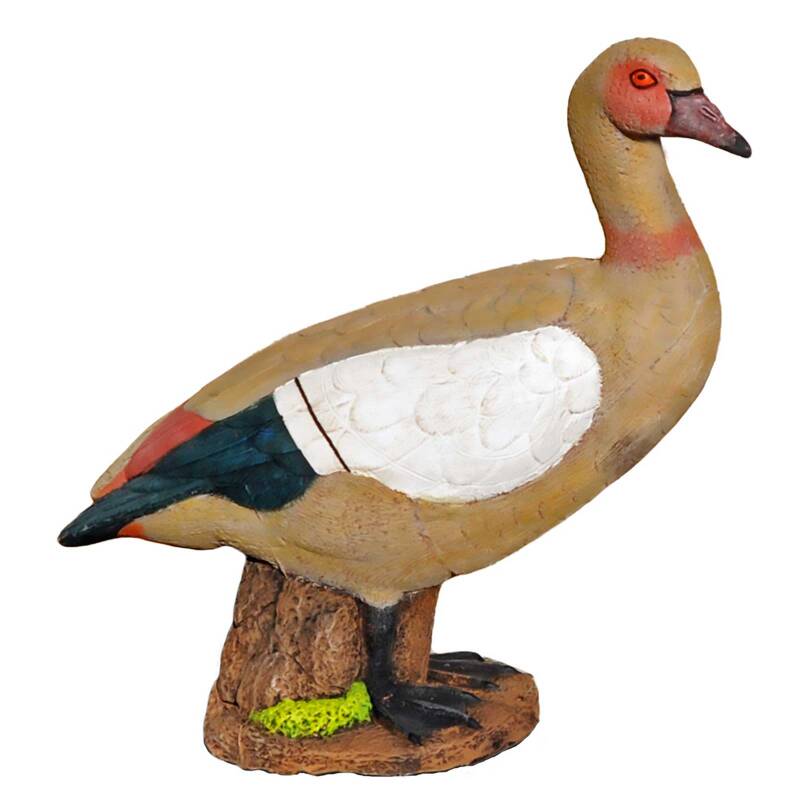 Nilgans