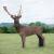 WILDCRETE 3D Fallow Deer [Shipping Agent]