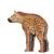 WILDCRETE 3D Hyena [***]