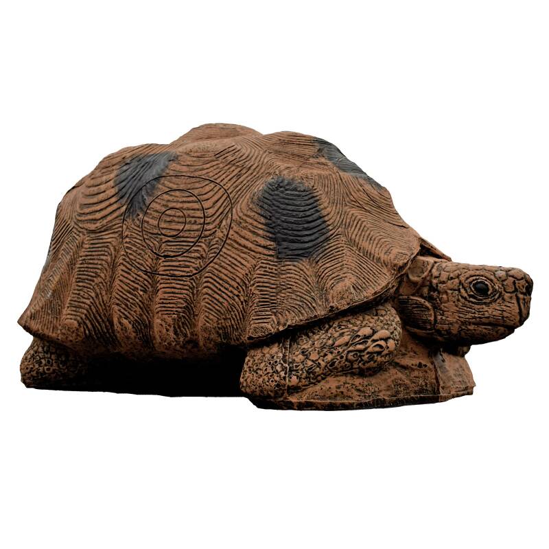 Schildkröte