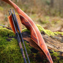 AUSSTELLUNGSST&Uuml;CK | DRAKE ARCHERY ELITE Ablaze - 62 Zoll - 30 lbs - Hybridbogen