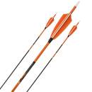 Complete arrow | PyroSPHERE - Carbon - Natural feathers |...