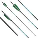 Complete arrow | SPHERE Hunter Pro - Carbon - Natural...