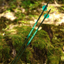Complete arrow | SPHERE Hunter Pro - Carbon - Natural feathers | Spine: 800 | Length: 30 inch