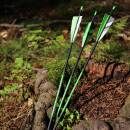 Complete arrow | SPHERE Slimline Pro - Carbon - Natural feathers | Spine: 900 | Length: 28 inch