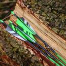 Complete arrow | SPHERE Slimline Pro - Carbon - Natural feathers | Spine: 900 | Length: 28 inch