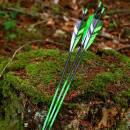 Complete arrow | SPHERE Slimline Pro - Carbon - Natural...