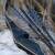 EXHIBITION PIECE | JACKALOPE - Moonstone - 60 inches - Hybrid Bow - 45 lbs | Right Hand