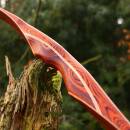 2nd CHANCE | DRAKE ARCHERY ELITE Ablaze - 62 Zoll - 30 lbs - Hybridbogen
