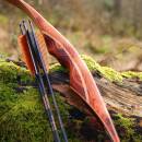 2nd CHANCE | DRAKE ARCHERY ELITE Ablaze - 62 Zoll - 30 lbs - Hybridbogen