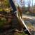 2nd CHANCE | DRAKE ARCHERY ELITE Zorse - 54 inches - 20 lbs - Hybrid Bow | Right Hand