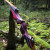 2nd CHANCE | JACKALOPE - Red Beryl Hunter - 58 Inches - 30 lbs - Speed - Take Down Recurve Bow | Right Hand