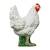 IBB 3D Henne - weiss