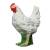IBB 3D Henne - weiss
