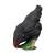 IBB 3D Henne - schwarz - pickend