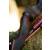 2nd CHANCE | JACKALOPE - Bloodstone - 64 Inches - 50 lbs - Take Down Recurve Bow | Right Hand