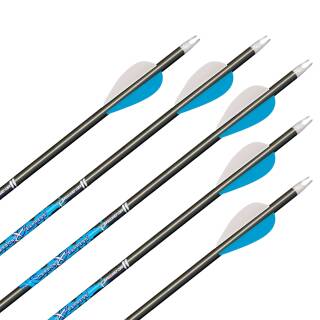NEW GOODS | 10 x complete arrow | CARBON EXPRESS Predator II - Carbon - 29.0 inch | Spine: 600 (20/40)
