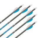 NEW GOODS | 10 x complete arrow | CARBON EXPRESS Predator...