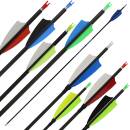 NEUWARE | 12er Pack Komplettpfeil | SPHERE Pioneer 4.2 -...